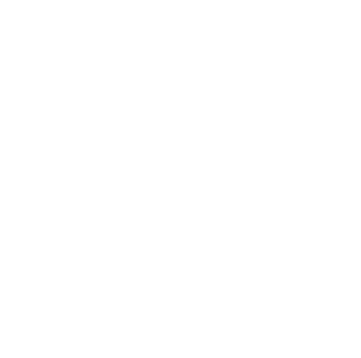 Blekinge Institute of Technology